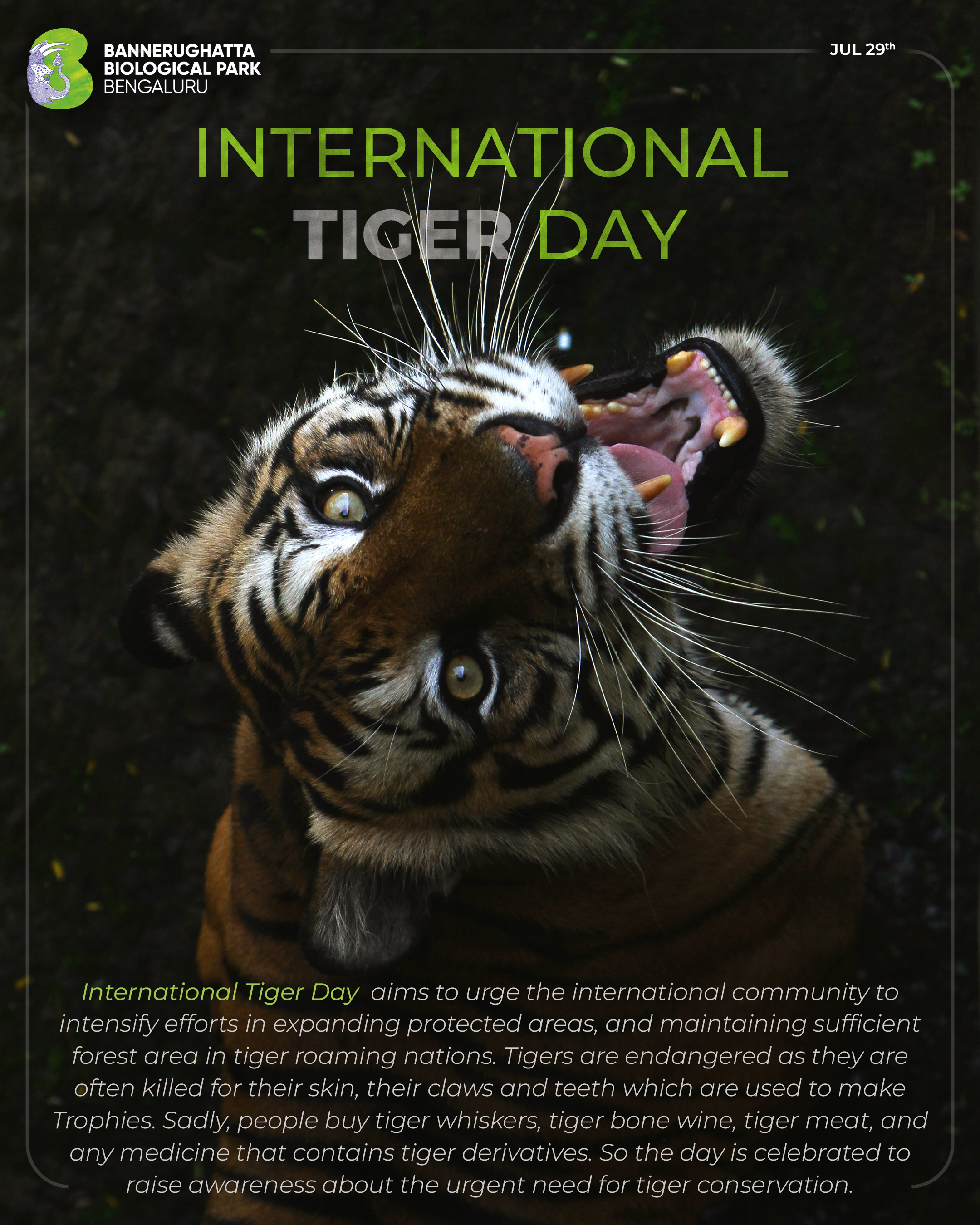 Tiger Day